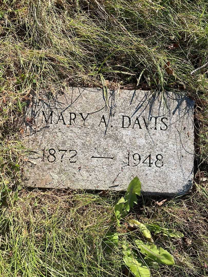 Mary A. Davis's grave. Photo 3