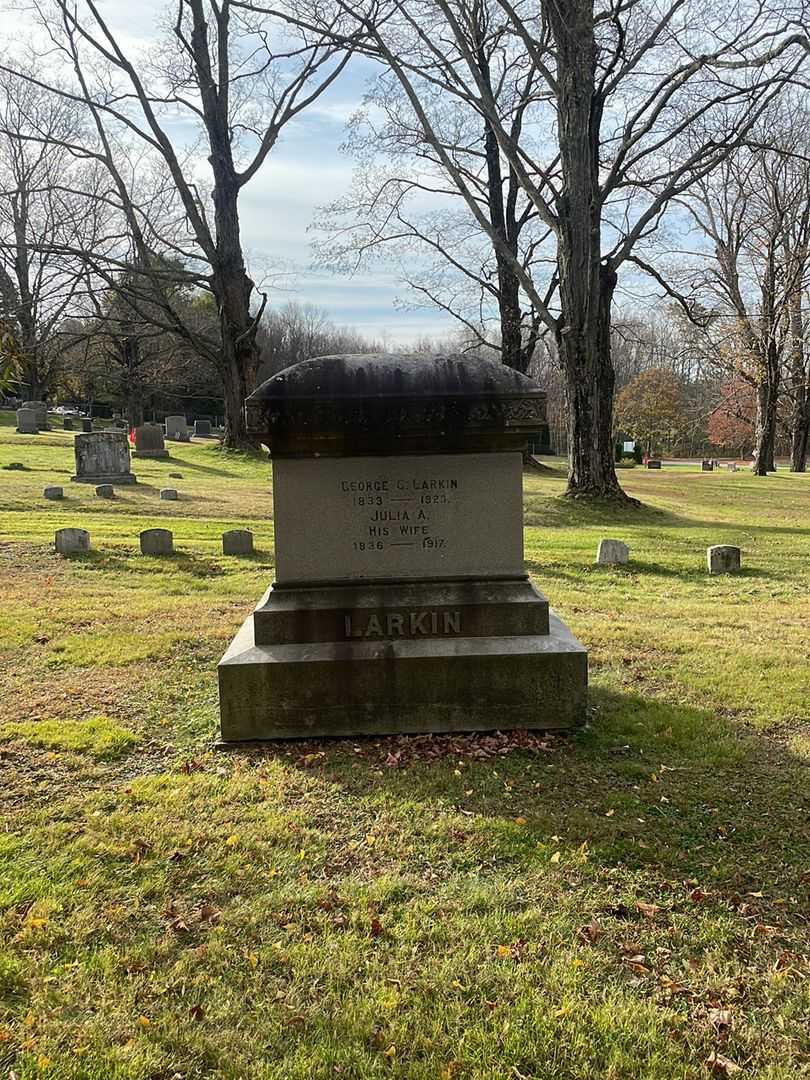 Julia A. Larkin's grave. Photo 2