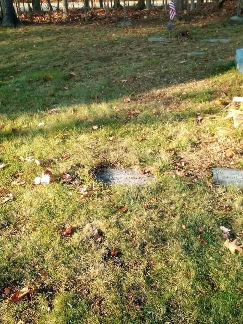 Henry Tammik's grave. Photo 2