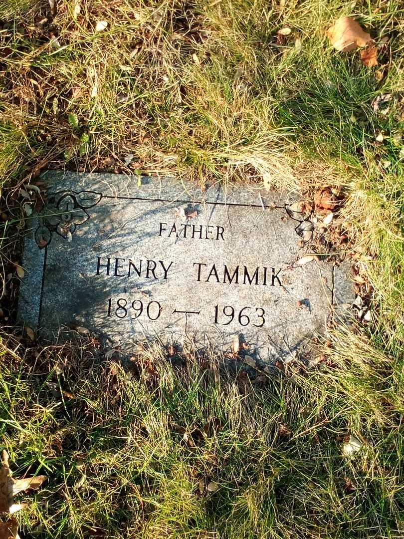 Henry Tammik's grave. Photo 3