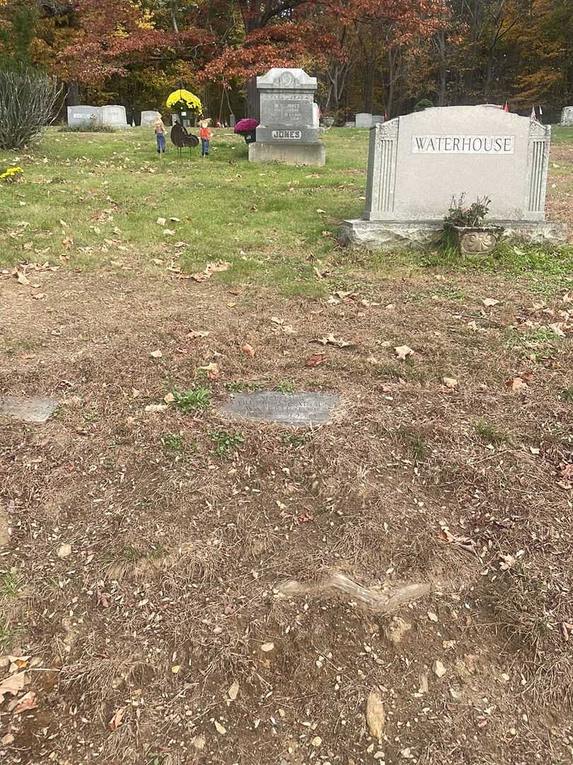 Isabelle N. Sargent Waterhouse's grave. Photo 2