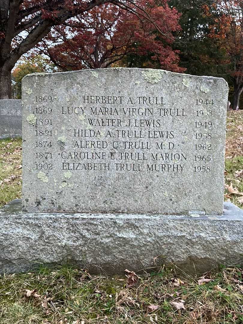 Lucy Maria Virgin Trull's grave. Photo 2