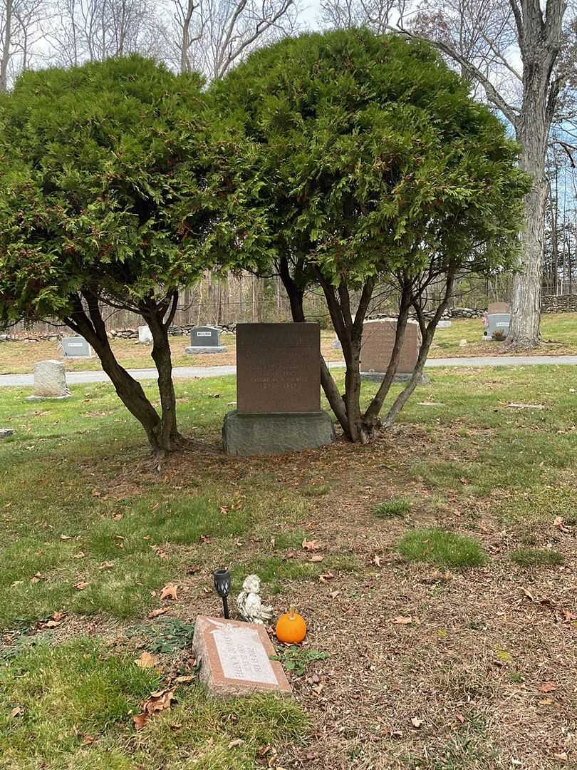 Charles H. MacGarvey's grave. Photo 2