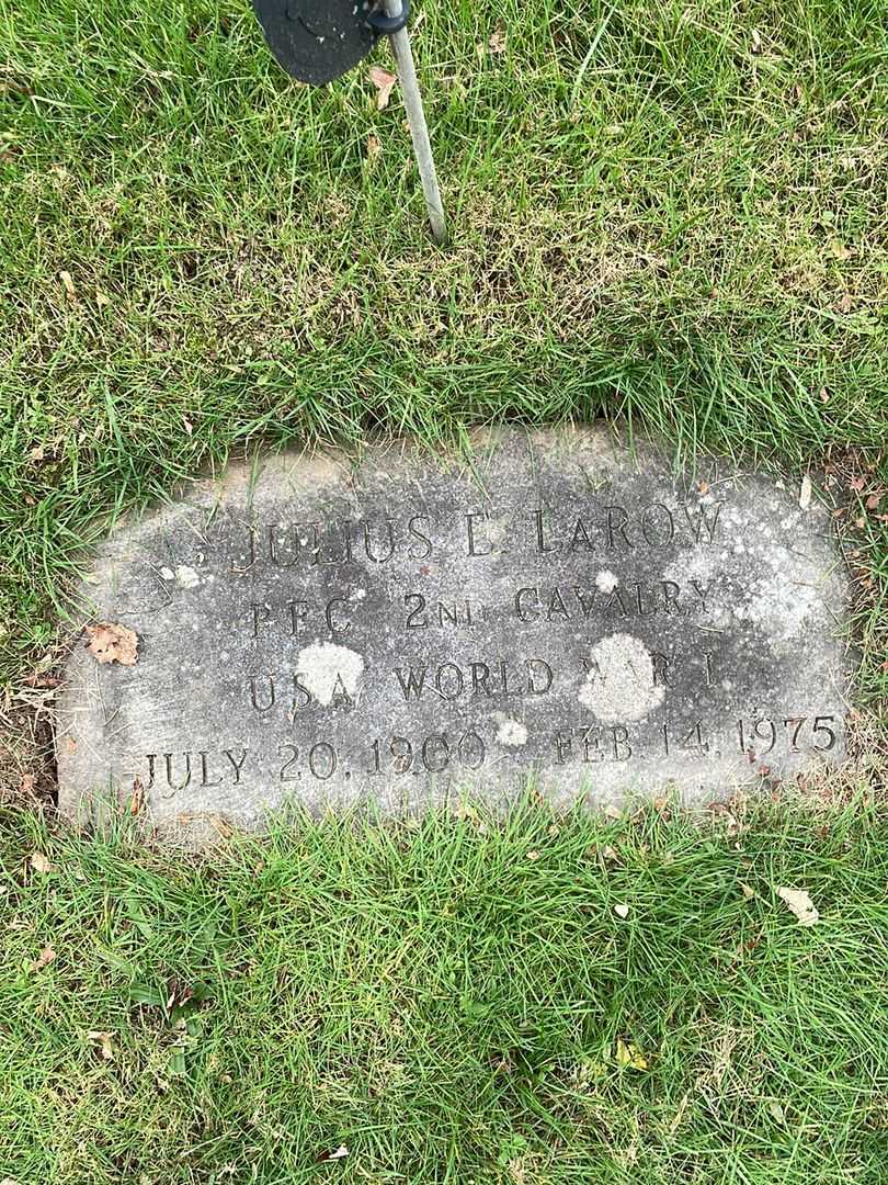 Julius E. LaRow's grave. Photo 1