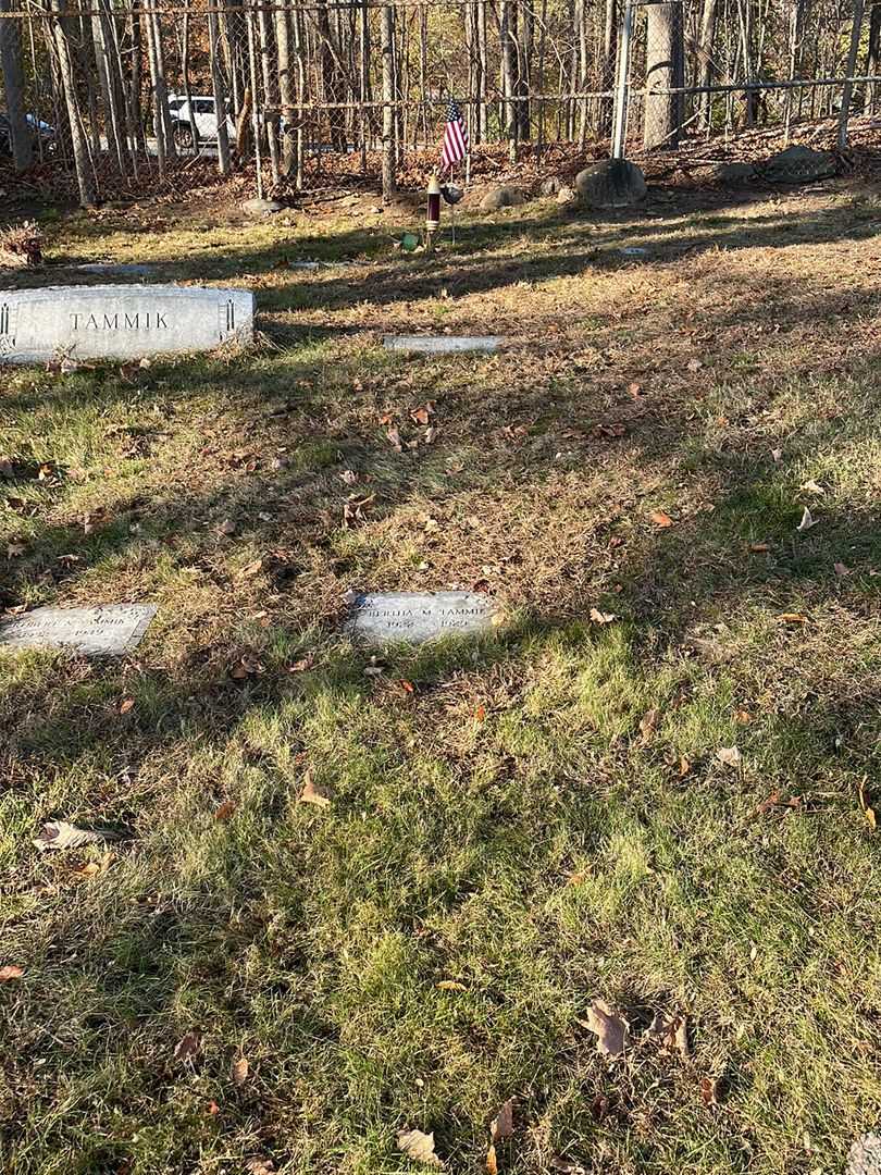 Bertha M. Tammik's grave. Photo 2