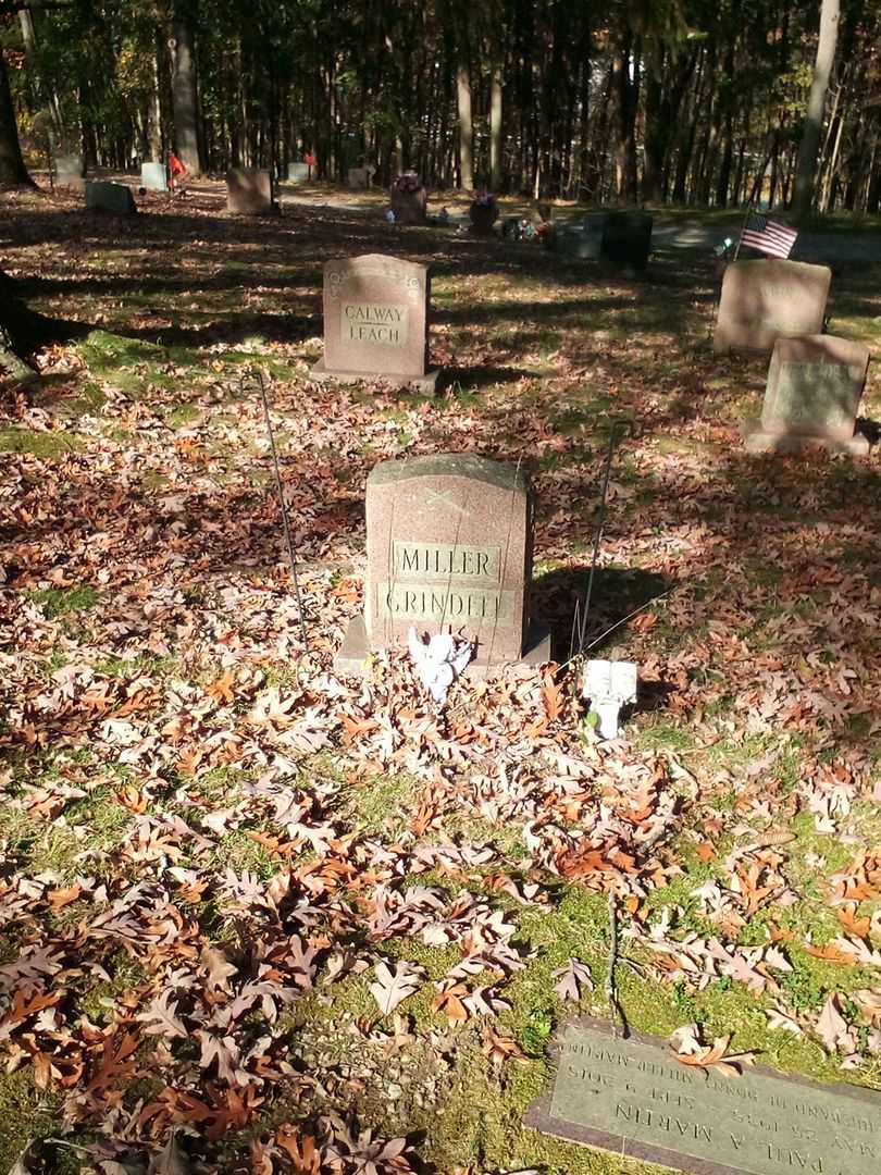 Donna Louisa Grindell's grave. Photo 2