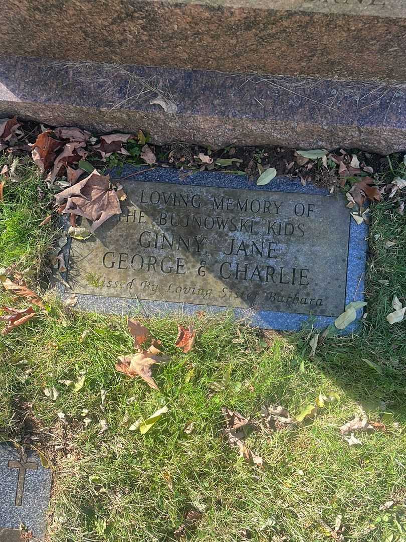 George Bujnowski's grave. Photo 3