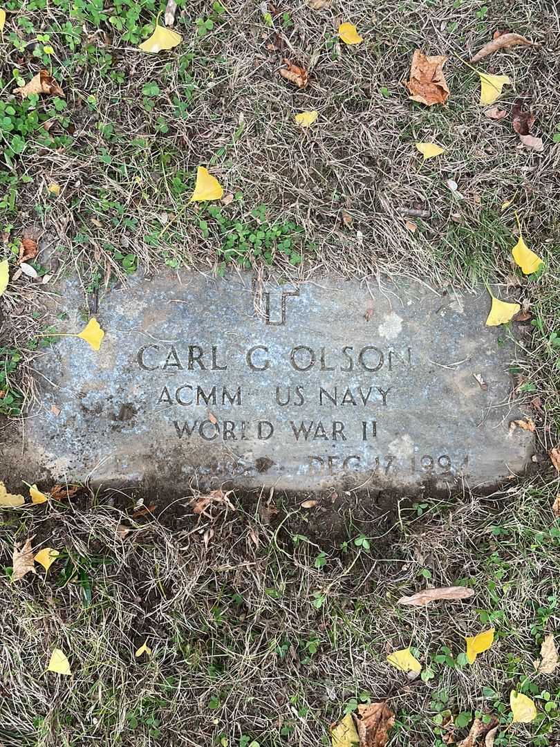 Carl G. Olson's grave. Photo 3