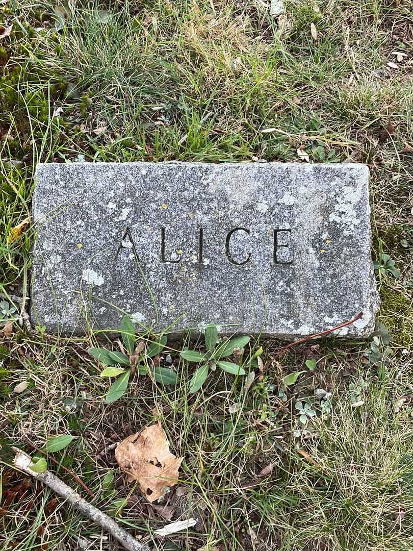 Alice Ranlett Bailey's grave. Photo 4