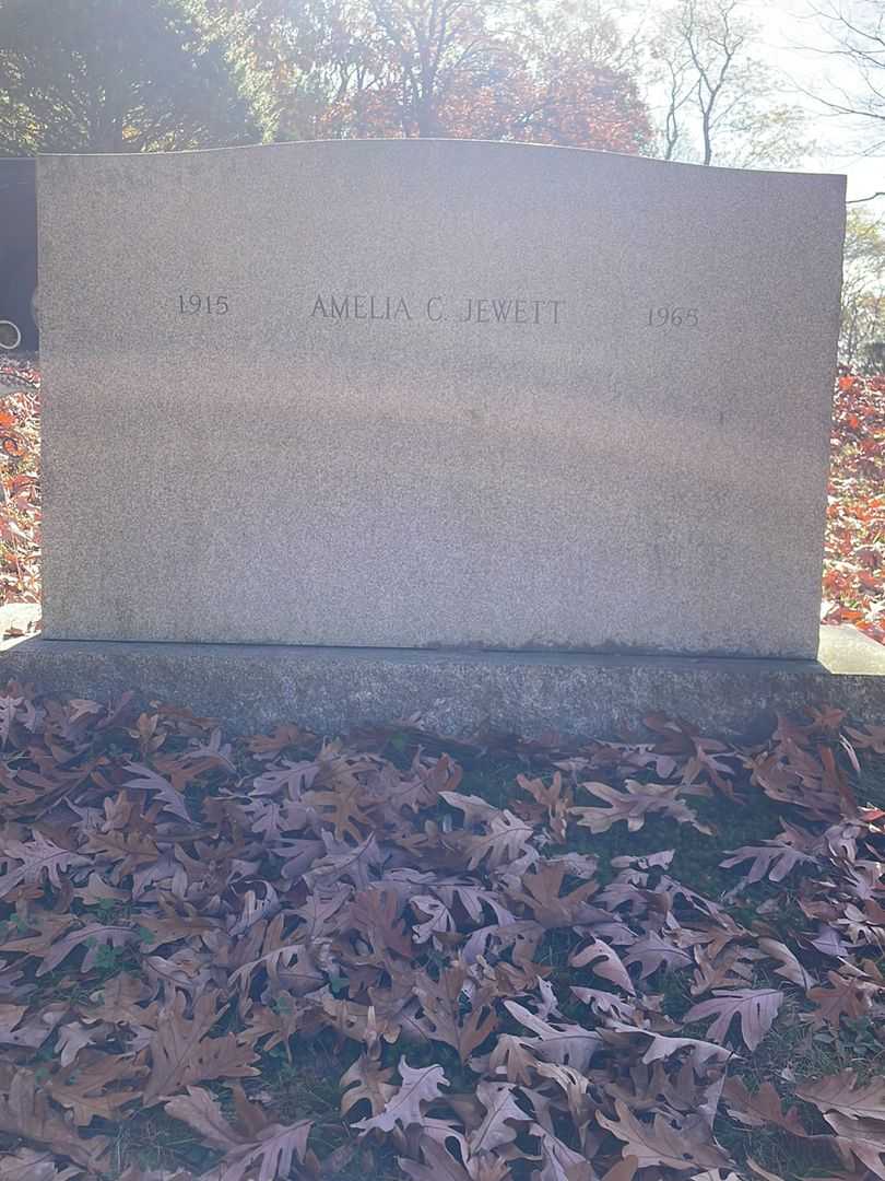 Amelia C. Jewett's grave. Photo 3