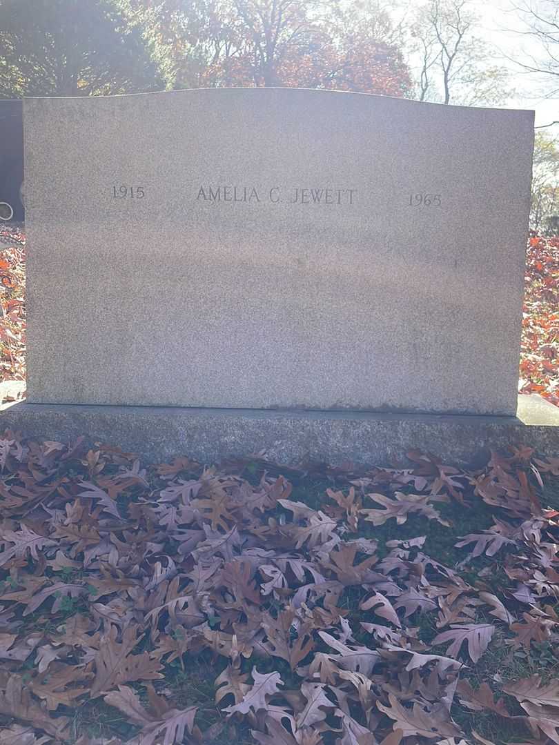 Amelia C. Jewett's grave. Photo 4