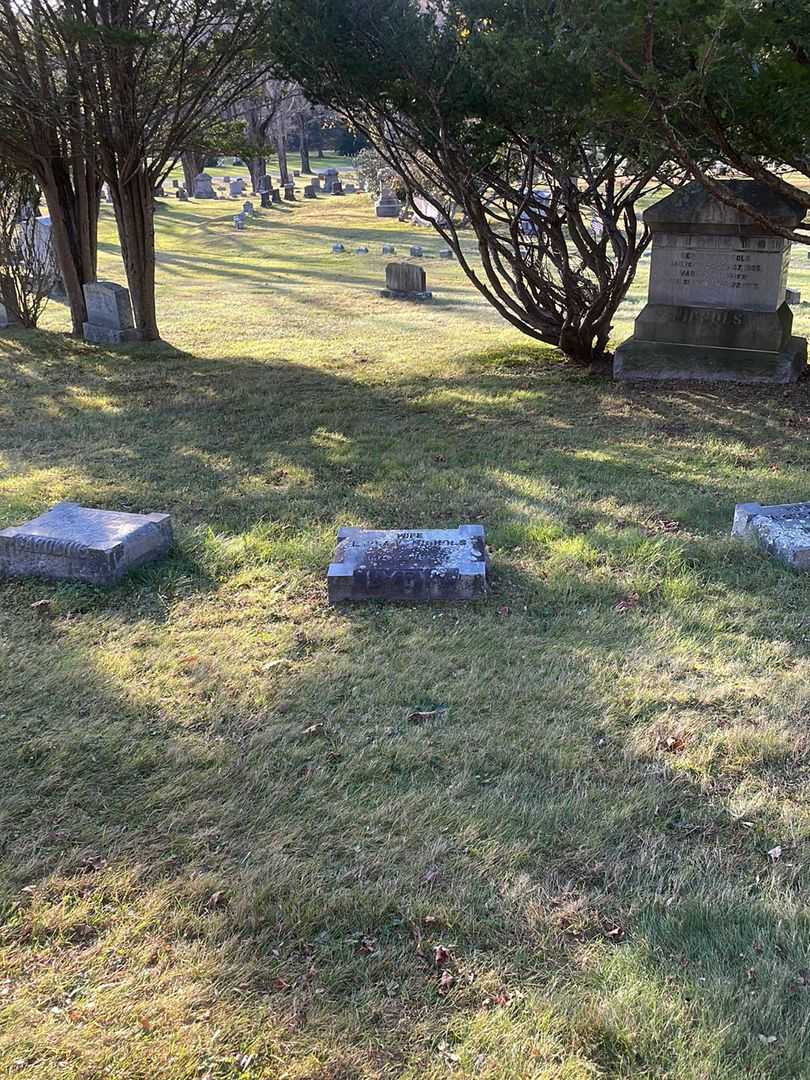 Lydia W. Nichols's grave. Photo 2