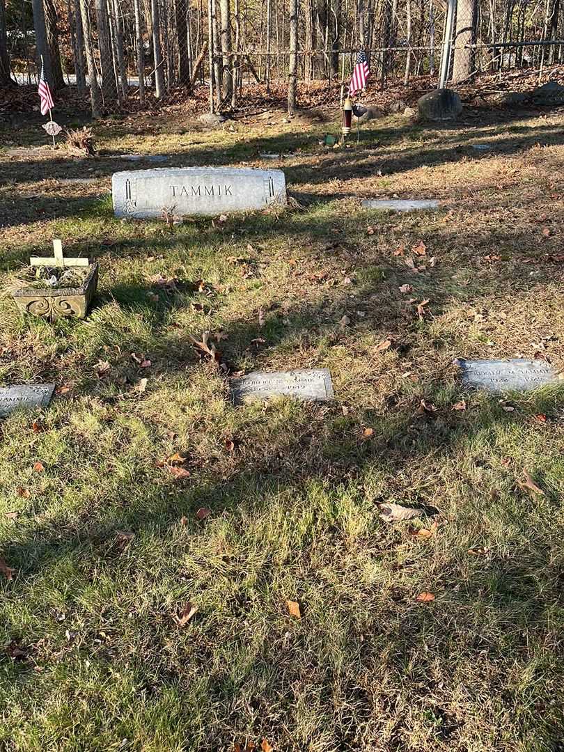 Robert S. Tammik's grave. Photo 2